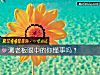 《測老板眼中的你懂事嗎？》测试