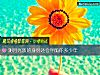 《測月光族的身份還會伴隨你多<i>少年</i>》测试