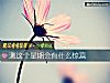 《測這個星期會有什麼<i>驚喜</i>》测试