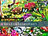 《測你<i>失戀</i>後誰會立馬陪在你身邊？》测试
