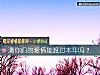 《測你們的<i>愛情</i>能渡過本年嗎？》测试