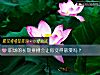 《職場的長期拼搏會讓你變得散漫嗎？》测试