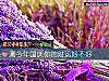 《測今年國慶你的<i>財運</i>好不好》测试