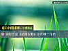 《測你會是《延禧攻略》中的<i>哪個</i>角色》测试
