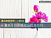 《測本年你的<i>桃花運</i>趨勢如何》测试