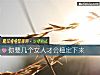 《你要幾個<i>女人</i>才會穩定下來》测试