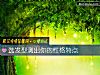 《選發型測出你的<i>性格</i>特點》测试