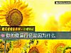 《你的傻逼行徑是因爲什麼》测试