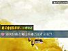 《測試你踢走黴運的秘方是什麼呢？》测试