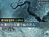 《測你會在<i>哪個</i>城市老去》测试