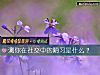 《測你在社交中的<i>陋習</i>是什麼？》测试