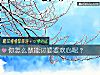 《你怎麼做能討<i>婆婆</i>歡心呢？》测试