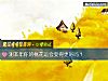 《測本年你的<i>桃花運</i>會變得更好嗎？》测试