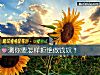 《測你要怎樣拒絕做錢奴？》测试