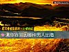 《測你容易因哪種<i>男人</i>出牆》测试
