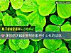《測你的天賦能夠幫你取得什麼樣的成就》测试