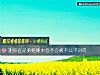 《測你在兄弟姐妹中會不會被不公平對待》测试