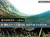 《哪棟大宅主人最有錢 測如何解決你的心煩意亂》测试
