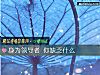 《身爲<i>領導</i>者 你缺乏什麼》测试