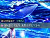 《測試自己的<i>運氣</i> 我最近的<i>運氣</i>怎樣》测试