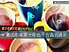 《測試你未來十年會不會<i>遇到</i>挫折》测试