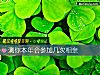 《測你本年會參加幾次相親》测试
