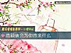《高<i>顔值</i>會爲你帶來什麼》测试