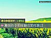 《測你的中年時期會如何渡過》测试
