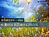 《測你找到靈魂<i>伴侶</i>的辦法》测试