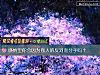 《感情裏你會因爲別人的反對而<i>分手</i>嗎？》测试