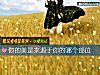 《你的美是來源于你的<i>哪個</i>部位》测试