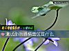 《測試你的<i>感情</i>雷區是什麼》测试