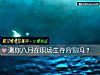 《測你八月在職場生存容易嗎？》测试