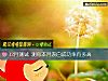 《12月測試 測你本月<i>表白</i>成功率有多高》测试