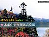 《本年你會在哪邂逅<i>幸運</i>》测试