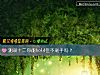 《測雙十二你能hold住不剁手嗎？》测试