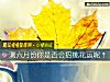 《測六月份你是否會招<i>桃花運</i>呢？》测试