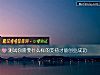 《測試你需要什麼樣的支持才能創業成功》测试
