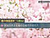 《測試你男友在<i>婚後</i>會夜不歸宿嗎？》测试