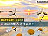《測試你能否分得清套路》测试