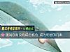 《測試你<i>有沒有</i>成名機會 成爲明星的幾率》测试