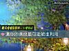 《測你的<i>善良</i>最可能被誰利用》测试