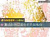 《測試你的兄弟會不會<i>背叛</i>你》测试