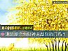 《測近期會有財神來敲你的門嗎？》测试