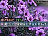 《測七月會有<i>愛情</i>主動靠近你嗎？》测试