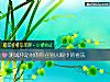 《測試沖動時的你在別人<i>眼中</i>的看法》测试
