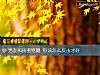 《男友和閨蜜<i>劈腿</i> 你該怎麼反擊才好》测试