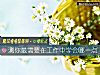 《測你最需要在工作中學會哪一點》测试