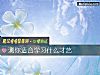 《測你<i>適合</i>學習什麼才藝》测试