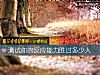 《測試你的反應能力勝過多少人》测试